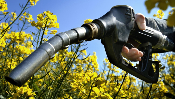 Immagine: Biodiesel: “Peggio dei combustibili fossili”