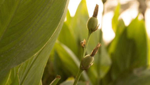 Immagine: L'informazione ambientale si ritrova al Salone del Libro 2016 di Torino