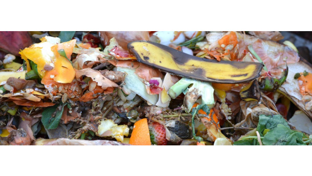 Immagine: Settimo Torinese: al via la campagna La Ricetta Giusta per una buona Raccolta Differenziata