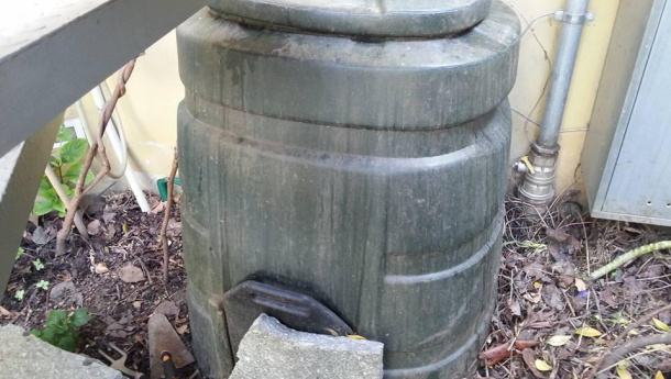 Immagine: Compostaggio condominiale: intervista a Riccardo Marchesi (Corintea)