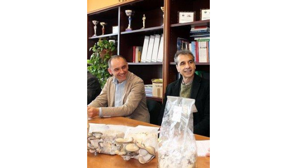 Immagine: Meeting Zero Waste a Capannori per creare un network europeo delle Municipalità Rifiuti Zero