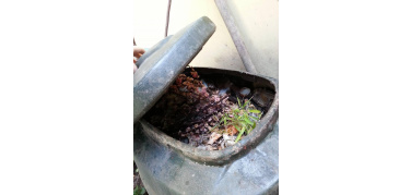 Torino: corsi di compostaggio nei Comuni del Covar14