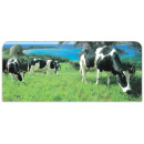 Immagine: Sardegna, dal letame il biometano per i camion. Un progetto di interesse internazionale