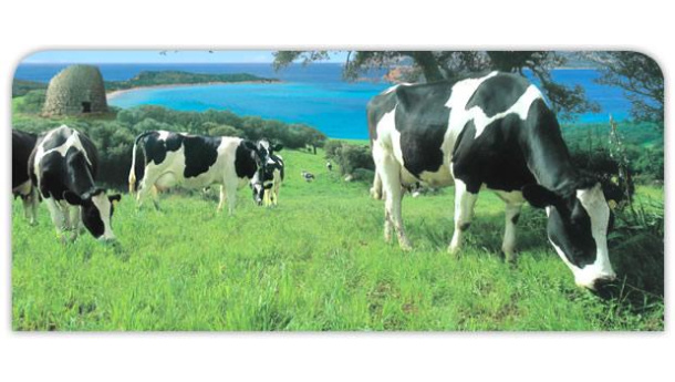 Immagine: Sardegna, dal letame il biometano per i camion. Un progetto di interesse internazionale