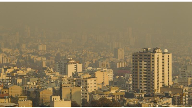 Immagine: Organizzazione Mondiale della Sanità: 