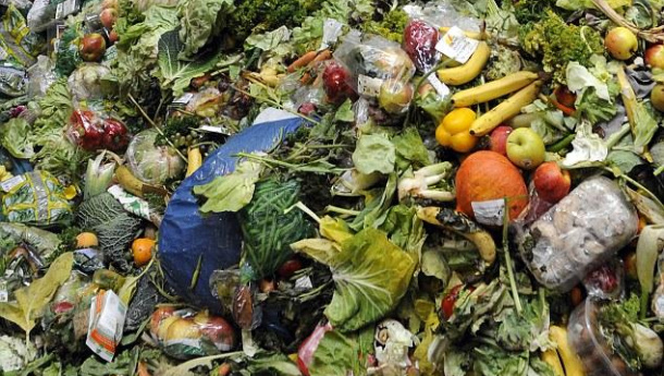 Immagine: I benefici del packaging alimentare compostabile: la ricerca SDA Bocconi presentata al Cibus di Parma