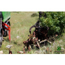 Immagine: Cassano delle Murge (Bari) recupera le auto abbandonate tra i sentieri del parco