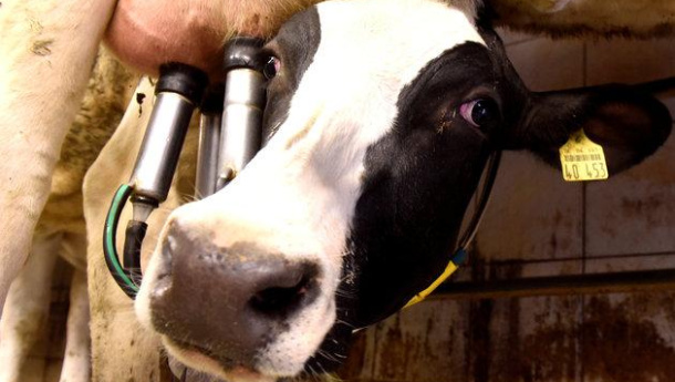 Immagine: Ridurre i fertilizzanti per abbattere l’inquinamento