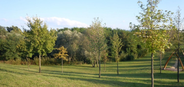 Istat: in media 31 metri quadri di verde urbano a testa ma alcune città ne sono quasi sprovviste