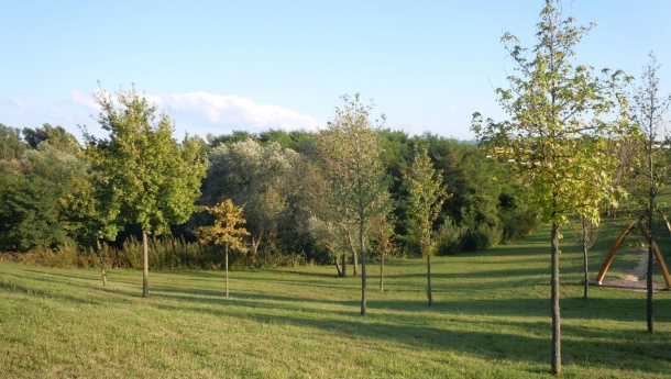 Immagine: Istat: in media 31 metri quadri di verde urbano a testa ma alcune città ne sono quasi sprovviste