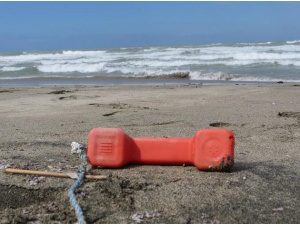 Nelle spiaggie italiane 714 rifiuti ogni 100 metri. Il 76% è plastica