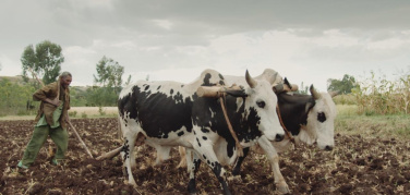 Cinemambiente 2 giugno: il programma della terza giornata