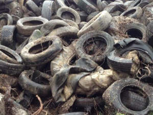 “PFU Zero nelle Isole Minori”: oltre 100 Pneumatici Fuori Uso raccolti a Ustica