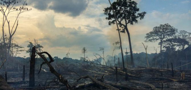 Cinemambiente 2016, ecco i vincitori!
