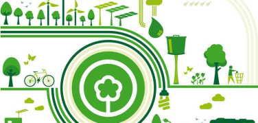 Economia circolare, il recupero di nutrienti da biomasse. A Milano è materia di dottorato