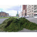 Immagine: Anci e CIC chiedono di ripristinare lo status di rifiuti per sfalci e potature di provenienza urbana