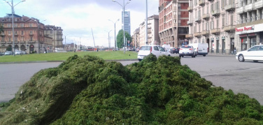 Anci e CIC chiedono di ripristinare lo status di rifiuti per sfalci e potature di provenienza urbana