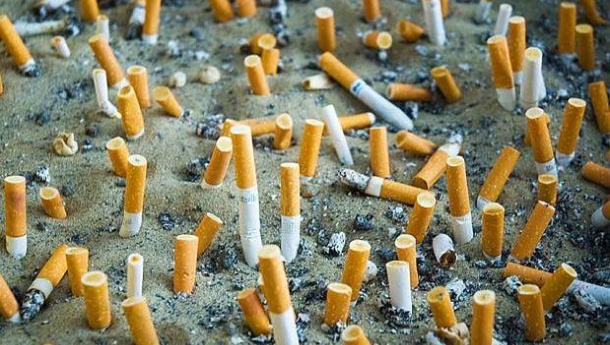 Immagine: Gli studi sull’aria e sulle acque reflue. Milano malata di smog e nicotina