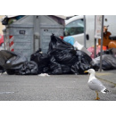 Immagine: Liguria: “Obiettivo 65%. Non di raccolta, ma di recupero dei materiali”