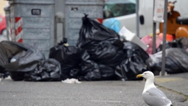 Immagine: Liguria: “Obiettivo 65%. Non di raccolta, ma di recupero dei materiali”