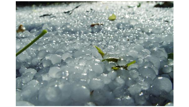 Immagine: Stavolgimenti climatici, Coldiretti: la grandine, la conseguenza più devastante