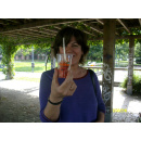 Immagine: Feste eco-sostenibili di fine anno a Milano: tiriamo le somme