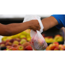 Immagine: Finti sacchetti compostabili al polietilene, Assobioplastiche: 