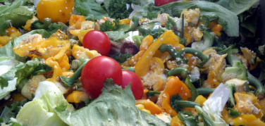 Emilia Romagna: un marchio “etico” alle aziende che combattono la povertà e lo spreco alimentare