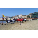 Immagine: Blitz di Goletta Verde a Nettuno: livelli di inquinamento elevati alla foce del canale Loricina | VIDEO