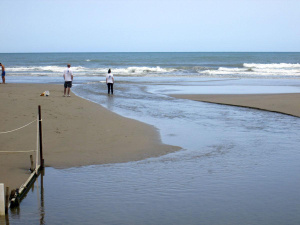 Blitz di Goletta Verde a Nettuno: livelli di inquinamento elevati alla foce del canale Loricina | VIDEO