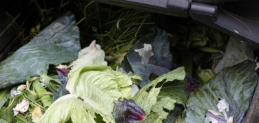 Raccolta organico, i Comuni italiani dove l'impurità è sotto l'1%