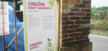 Milano, sinergie possibili in Zona 4: l'umido del mercato Martini, concime per gli orti di CascinaNet?