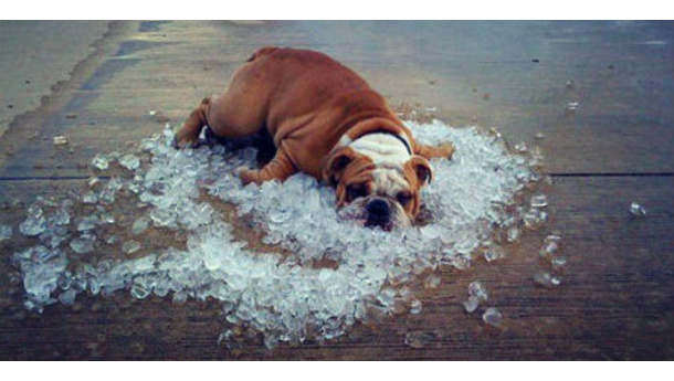 Immagine: Estate rovente: l'impatto maggiore è nelle zone centrali delle città