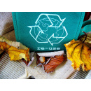 Immagine: Friuli Venezia Giulia: dalla Regione 1 milione di euro ai Comuni per realizzare Centri di riuso