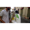 Immagine: Glutton a Torino, la “Scopa” ecologica per migliorare la pulizia delle strade