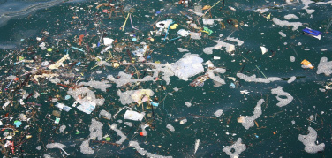 Bioplastica 'soluzione' all'inquinamento marino? 'Nessun ambiente naturale può essere considerato smaltitore di rifiuti umani anche se biodegradabili'