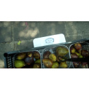 Immagine: Quartieri Ricicloni e Recup, ecco quanto cibo si può salvare dallo spreco nei mercati / VIDEO