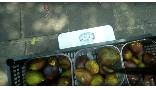 Immagine: Quartieri Ricicloni e Recup, ecco quanto cibo si può salvare dallo spreco nei mercati / VIDEO