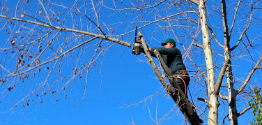 Sfalci e potature del verde urbano a fini energetici. Fiper: soddisfatti del provvedimento