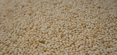 L'Aquila: buone pratiche di ecosostenibilità al Festival della Partecipazione