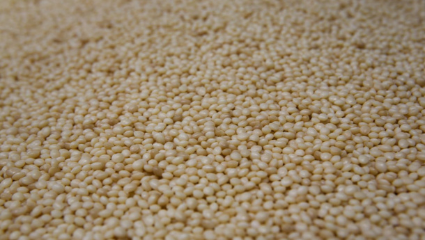 Immagine: L'Aquila: buone pratiche di ecosostenibilità al Festival della Partecipazione