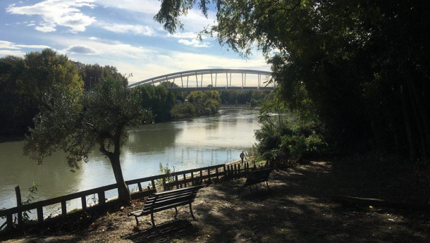 Immagine: Capoprati, rinasce il polmone verde lungo le sponde del Tevere