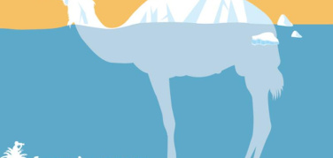 Al via l'ottava edizione di “SiciliAmbiente” documentary film festival