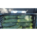 Immagine: 122 kg di frutta e verdura recuperati: continua a Milano la lotta allo spreco di cibo nei mercati