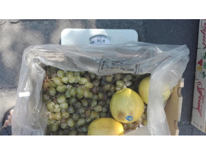 122 kg di frutta e verdura recuperati: continua a Milano la lotta allo spreco di cibo nei mercati