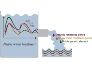 Il Cnr avverte: “Scoperti nuovi microinquinanti delle acque”