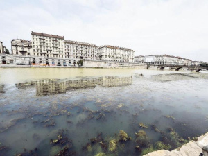 Proliferazione di vegetazione e rifiuti nel fiume Po a Torino. Ecco quello che sappiamo