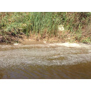 Immagine: Inquinamento tra Pomezia e Ardea, torrente Rio Torto diventa giallo e pieno di schiuma