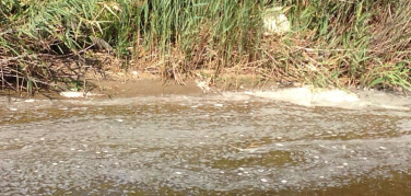 Inquinamento tra Pomezia e Ardea, torrente Rio Torto diventa giallo e pieno di schiuma