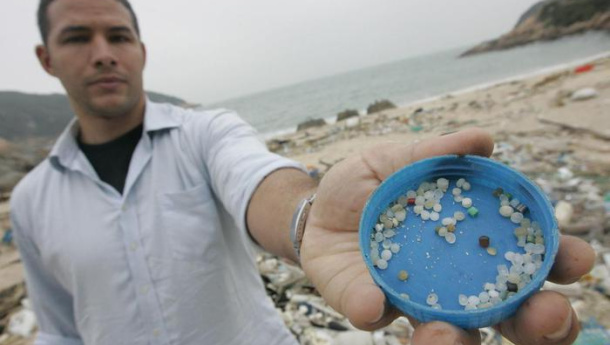 Immagine: Greenpeace: troppa plastica nel piatto, dai pesci ai frutti di mare